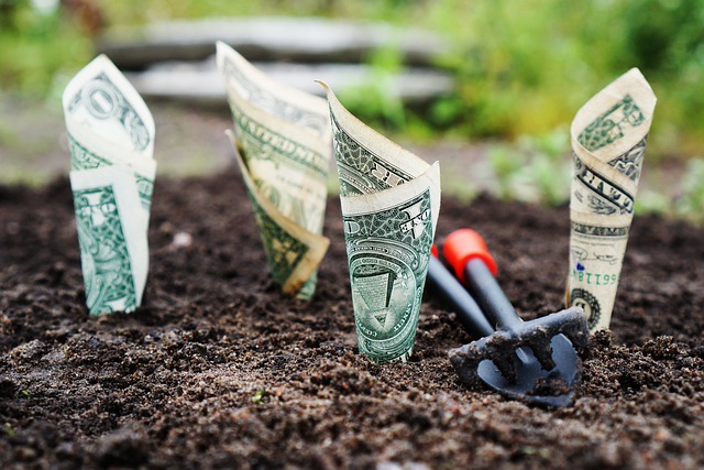 Stock Market Essentials: Navigating Wall Street with Confidence.